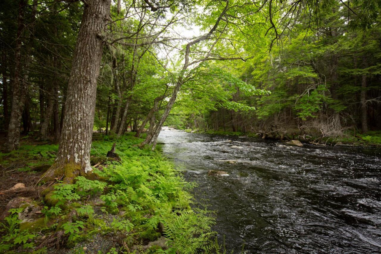Mersey River Chalets A Nature Retreat Caledonia Zewnętrze zdjęcie