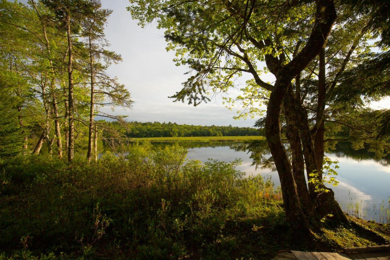 Mersey River Chalets A Nature Retreat Caledonia Zewnętrze zdjęcie