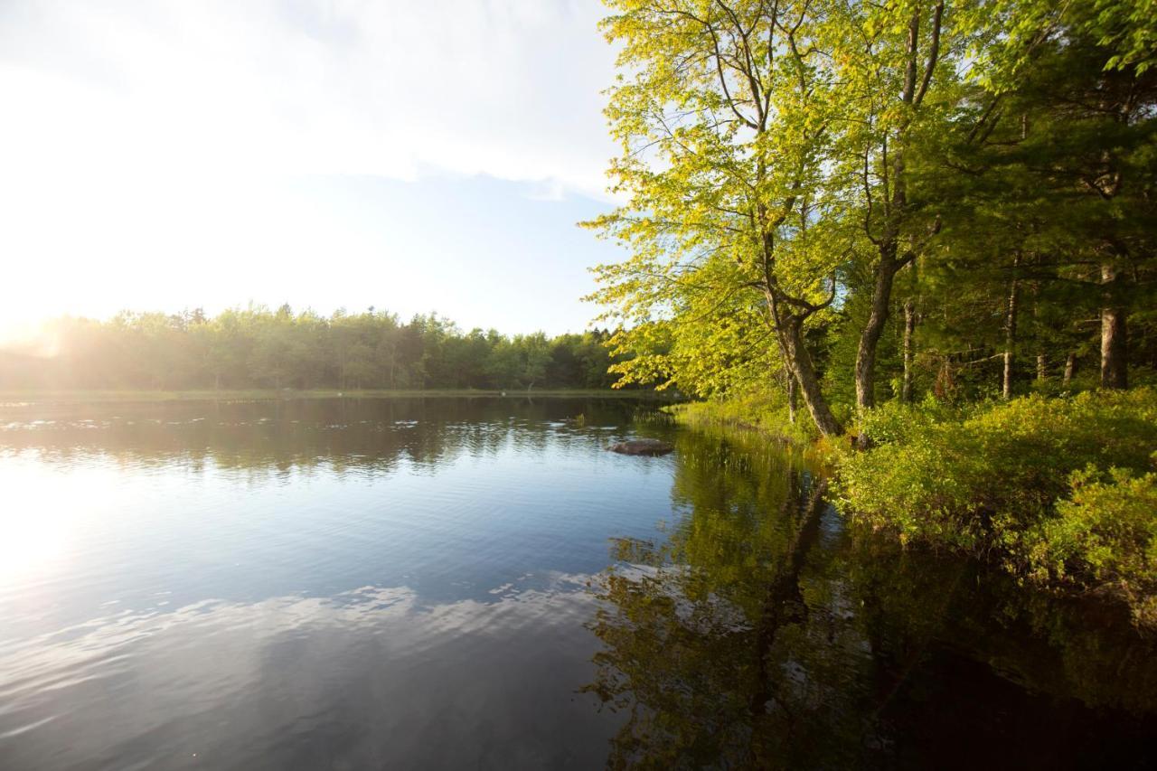 Mersey River Chalets A Nature Retreat Caledonia Zewnętrze zdjęcie