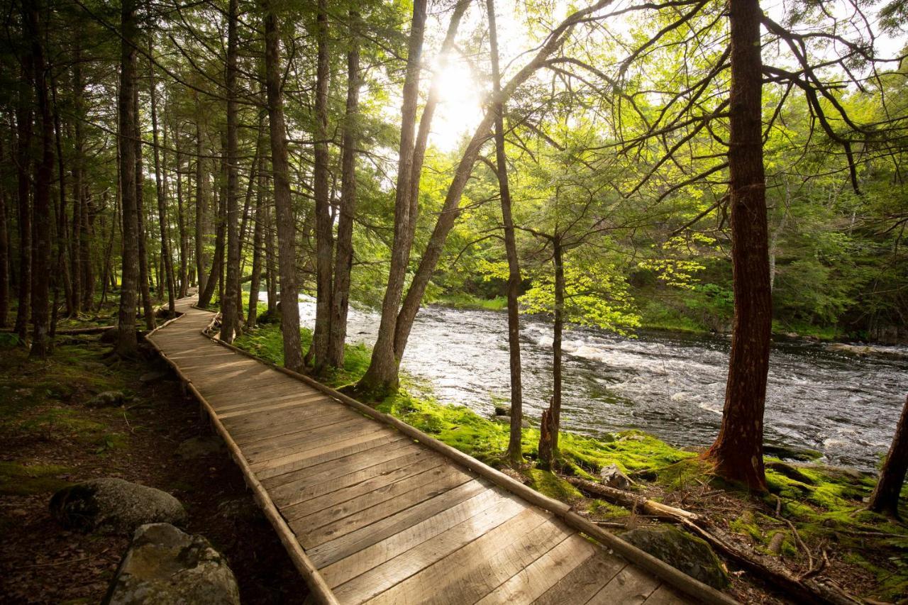 Mersey River Chalets A Nature Retreat Caledonia Zewnętrze zdjęcie